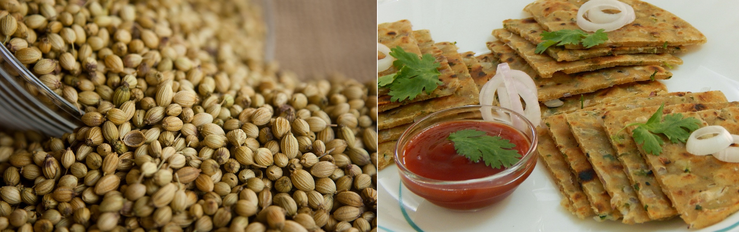 Coriander Seeds (Dhania) and Onion coriander paratha