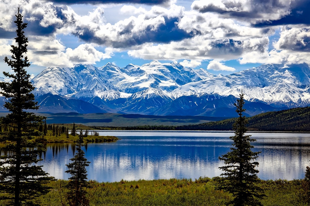 Denali national park, Alaska