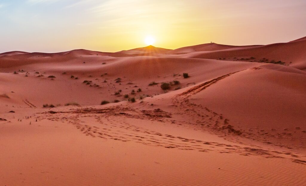 Top 10 Biggest, Deadliest and most Dangerous Deserts in America: Desert Cover Image