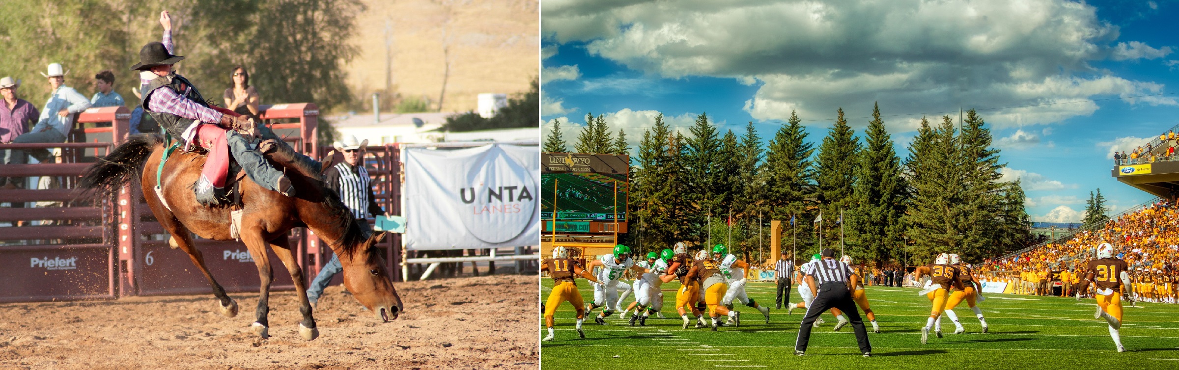 Rodeo, Cowboy and University of Wyoming