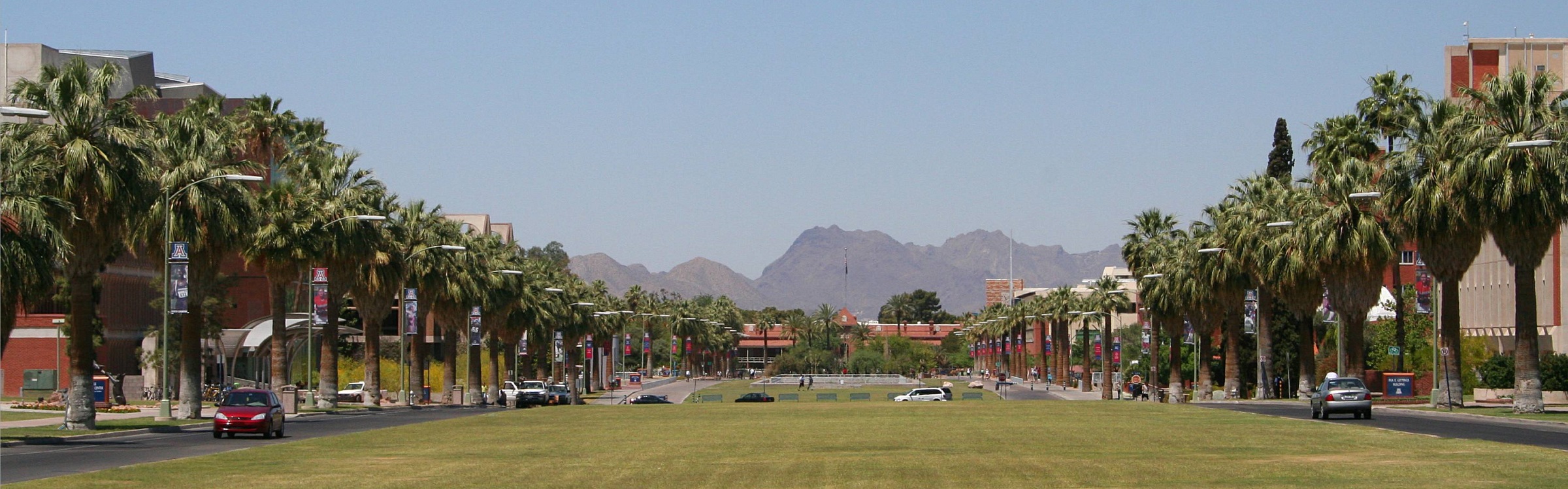 The University of Arizona in Tucson