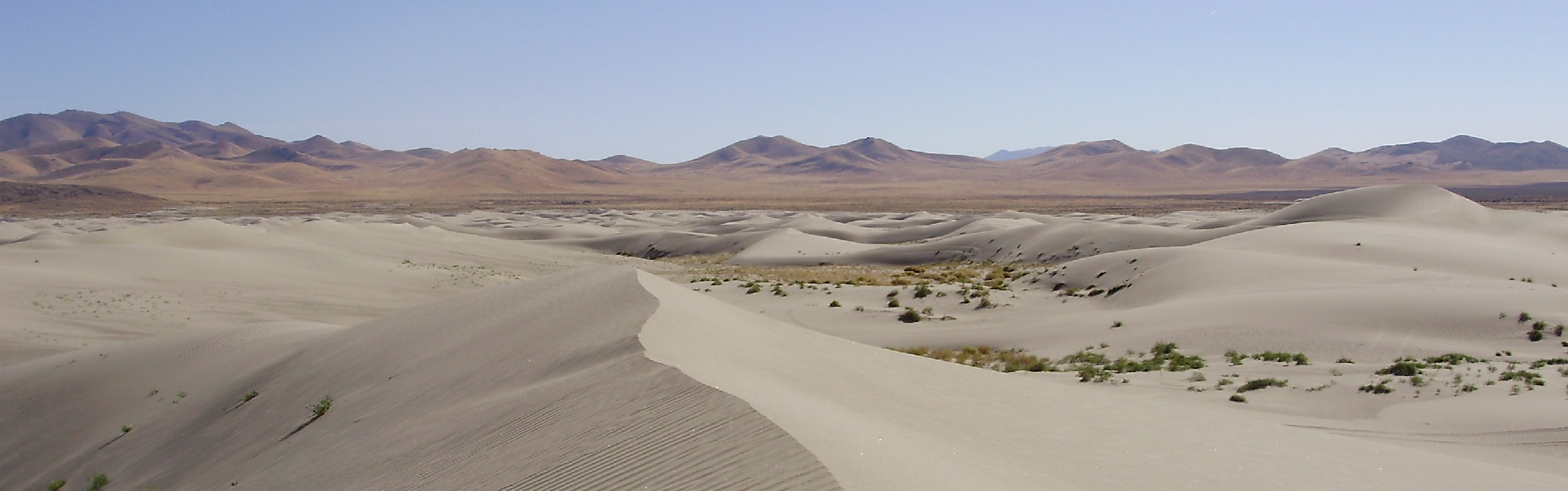 Winnemucca Sand Dunes, Nevada