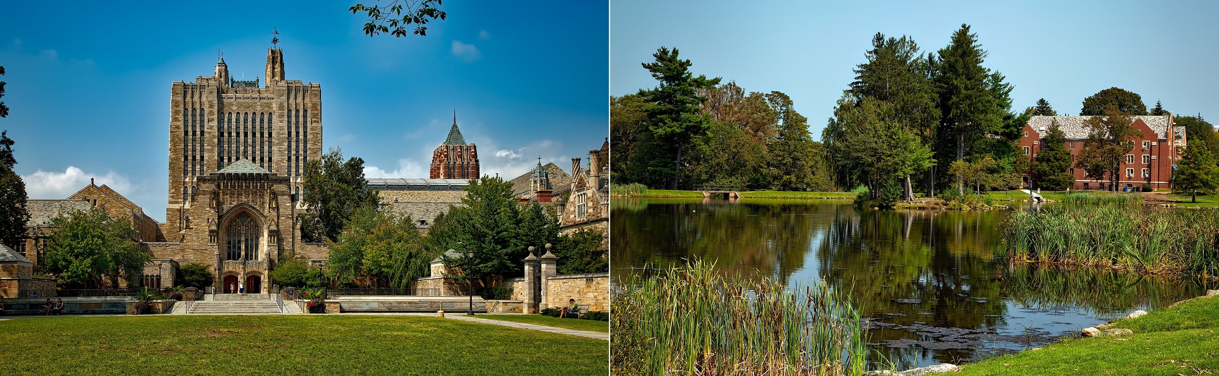 Yale University and University of Connecticut