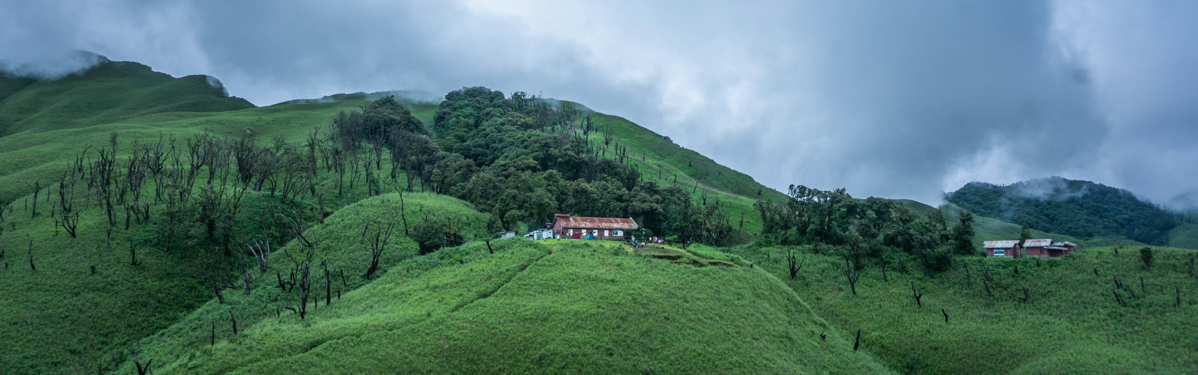 Dzukou Valley, Viswema, Nagaland