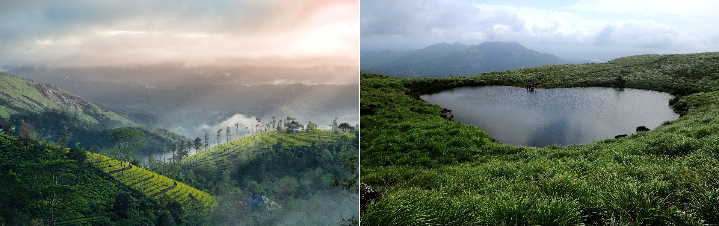 Munnar and Wayanad, Kerala