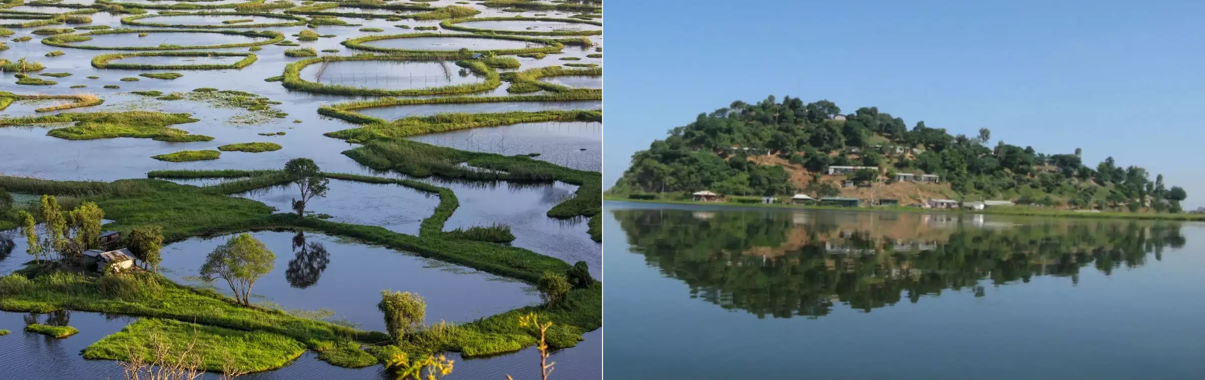 lokktak lake and Keibul Lamjao National Park, Manipur