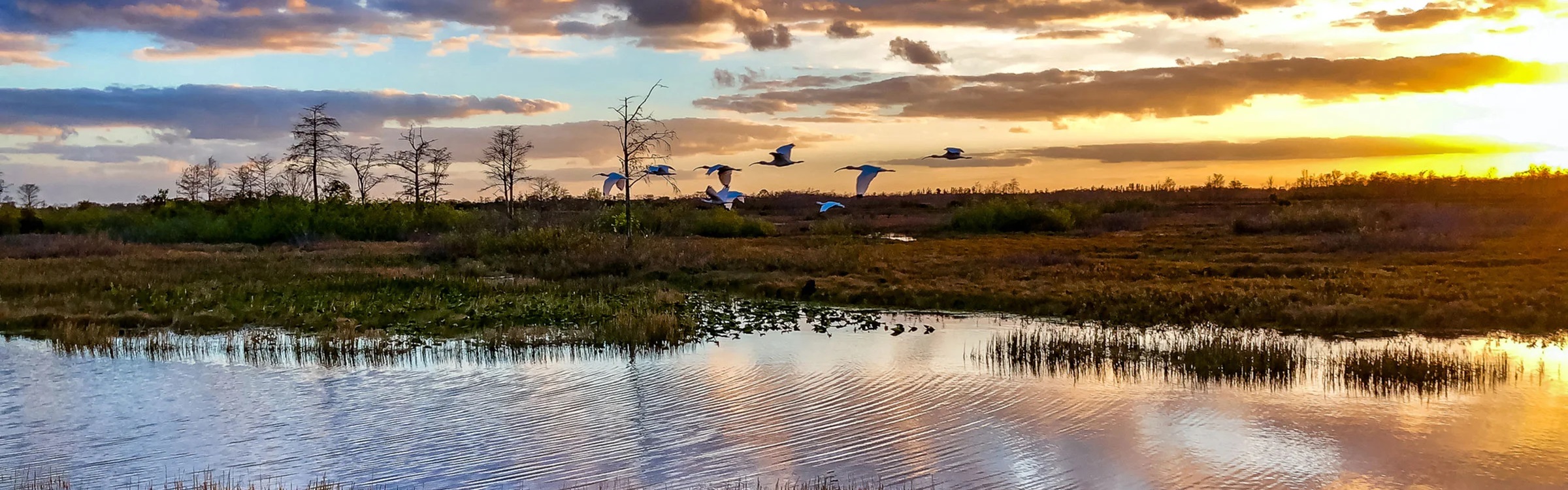 Everglades National Park, Florida