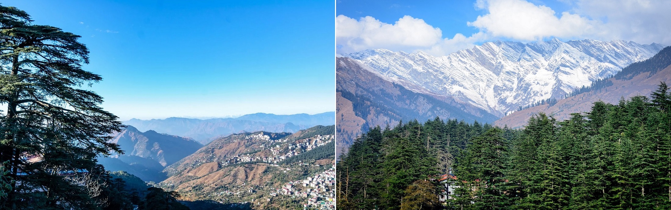 Shimla and Manali, Himachal Pradesh